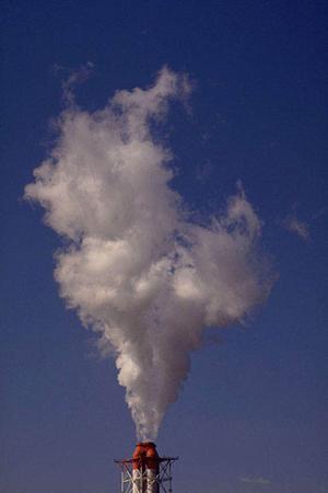 香辛料の選び方と活用法｜プロが教えるおすすめスパイスとレシピアイデア