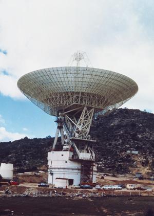 庭にウッドデッキを作ってみませんか